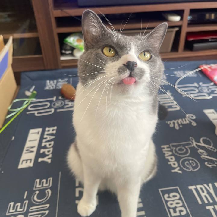 2f2db29c 754f 488d 85bc 3eb85cc89727 1698543135737