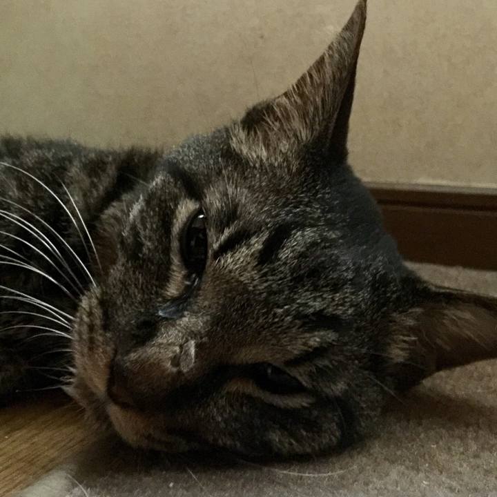 2f2de571 c066 4581 ad46 de8d9b2d43ff 1534319863090