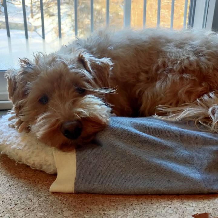 2f2de775 d9d2 438a af42 56320d711ebf 1578611081697