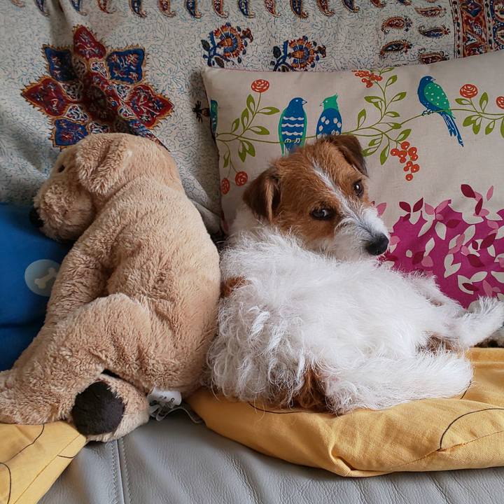 2f2e1654 e634 4769 ad27 08f1ab8c91f3 1567735339136