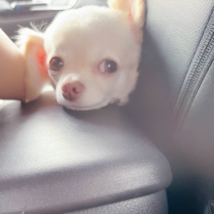 2f2e216b 1b11 41f9 bc45 d2aaa78e1969 1687603978272