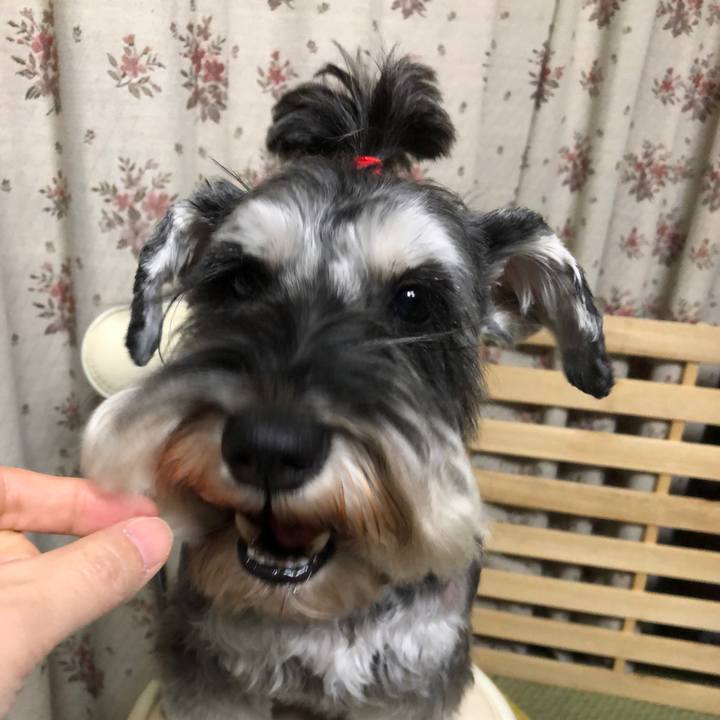 2f2e3e4d 208d 4b47 a5a3 234ff4ded53b 1606996868883