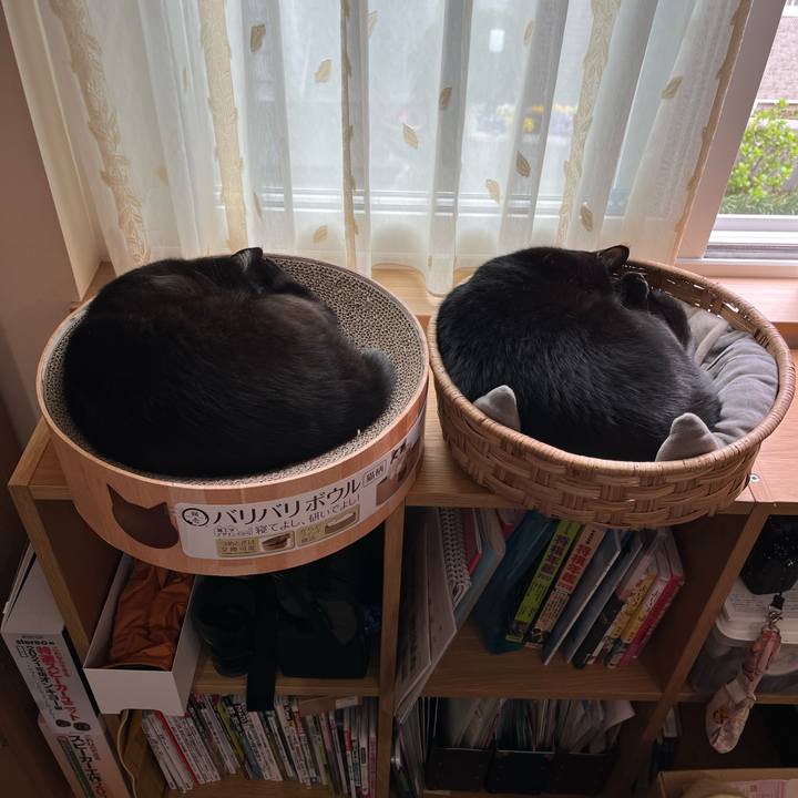 2f2e8c83 f59f 498e 8102 d65305438b33 1648696565909