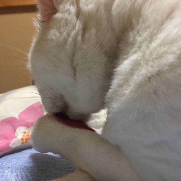 2f2ec687 e31a 47d7 8ee0 79b9d6e77b3a 1535815813225