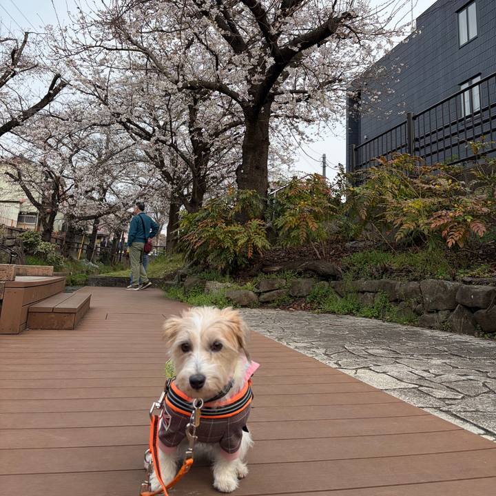 2f2ecfc2 f938 44f2 be5f 525068fafba2 1774169064560