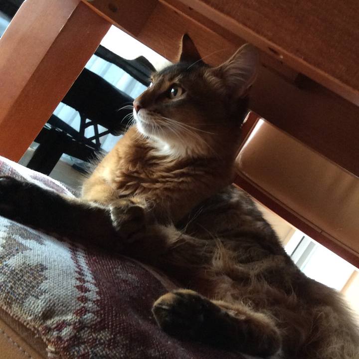 2f2ed6fb 6393 4d74 aaf8 93c2a333137c 1564985440217