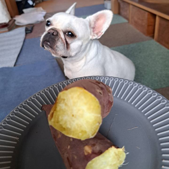 2f2eec41 b4cf 45fd 83ea ca63f1d92b88 1698015504026