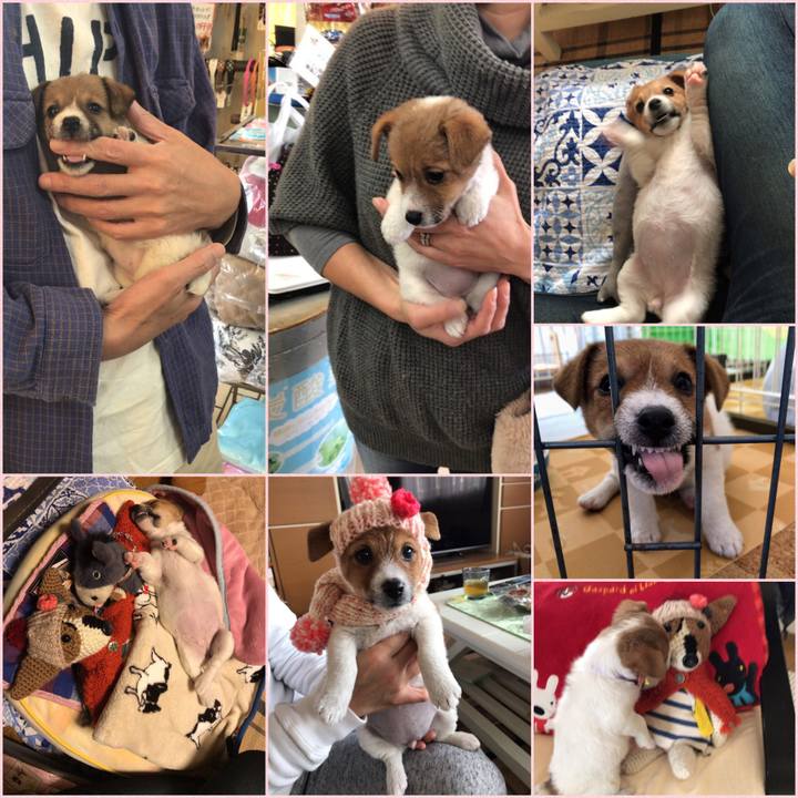 2f2f057b f5d5 4bd9 ba6e a7b6c3dbe893 1637893649839