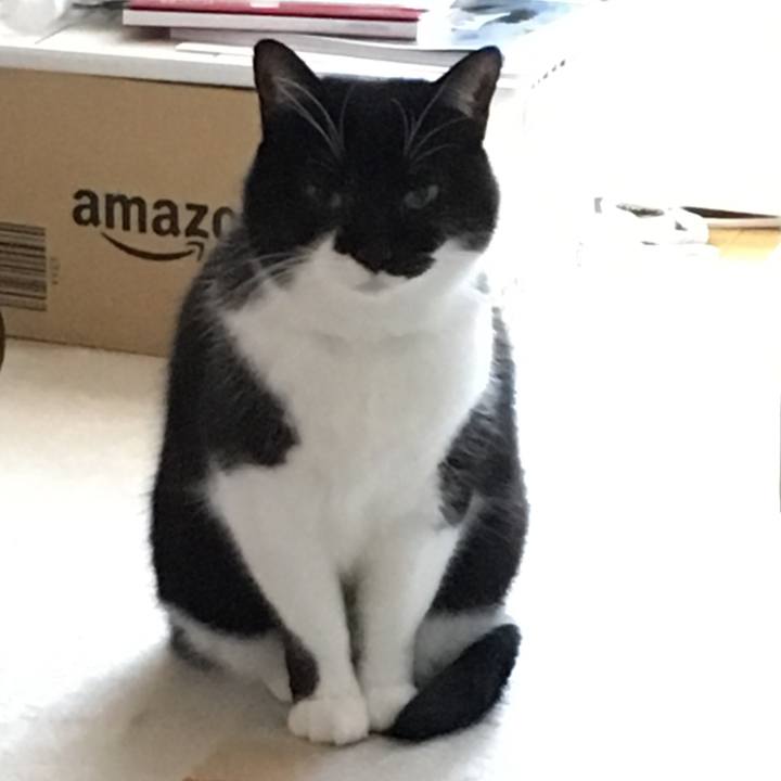 2f2f17fb c08e 4b77 b2cb 0f492c3f71cd 1519698537925