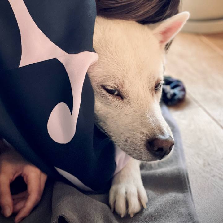 2f2f4778 abcf 42ef be71 3fcd9c82dd8e 1708175075891