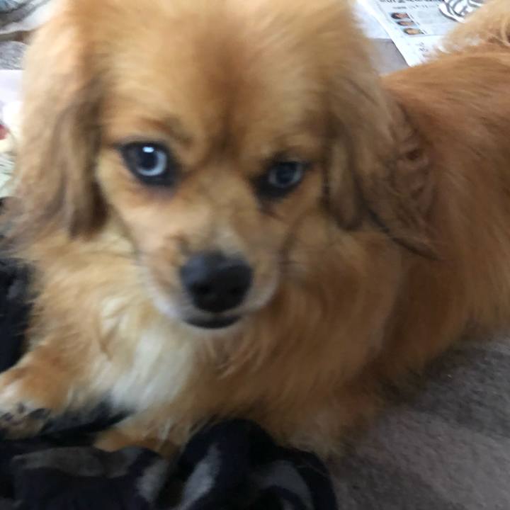 2f2f4a1f f1ba 4e82 a7ee 2575859035be 1563485036037