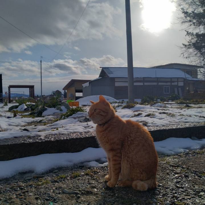 2f2f594b 0fce 460e b192 d20fac454fe8 1704778468512