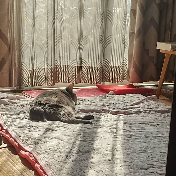 2f2f6e8e 6753 4ae7 814c d62d3bec8ebd 1668219918764