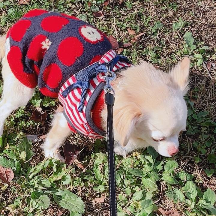 2f2f912e 6187 411c af0d ebcaac605f29 1763984702343