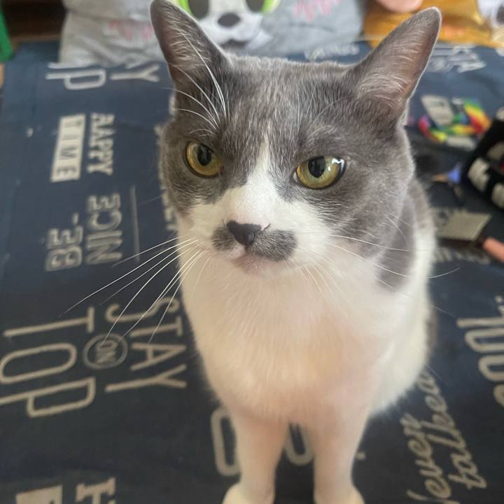 2f2fa5bd 9eaf 49ae 83a1 eddc90f043fd 1751156823142