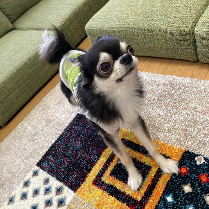 2f2fd592 7d9f 4e1a bd1f 6769ae71cd61 1685289552842