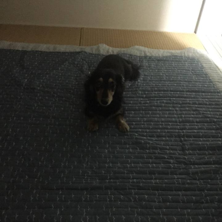 2f3035e3 1586 4530 a3f1 eb8e18c7ee12 1528756345185