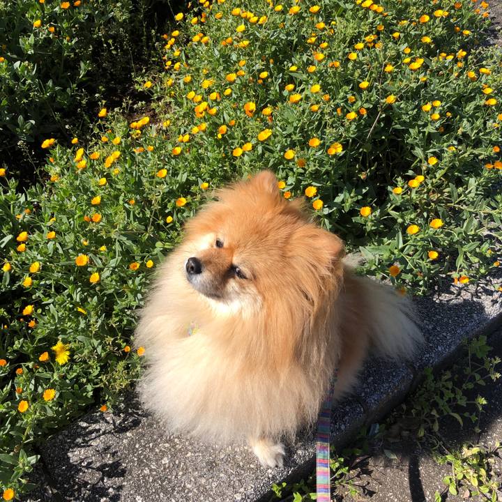 2f30461c 0155 482b b379 6e921f01b7cb 1585141615954