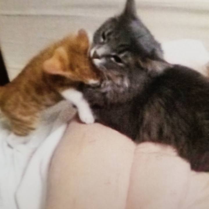 2f305559 212c 471f 8f16 c529aa72d210 1540467400826