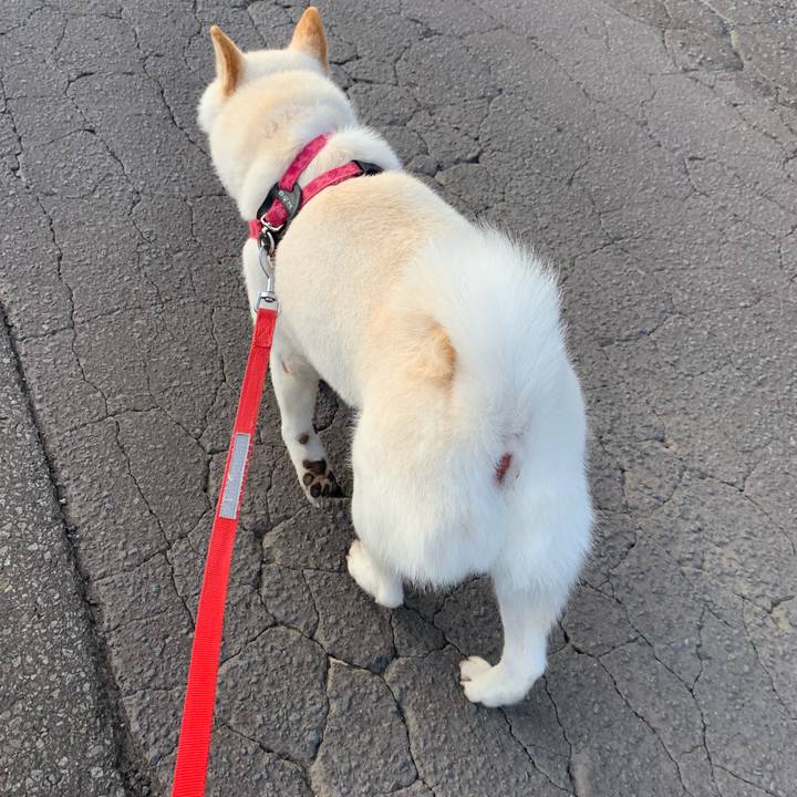 2f306601 5e86 41d6 a19b cb2f04b9503a 1564520816844