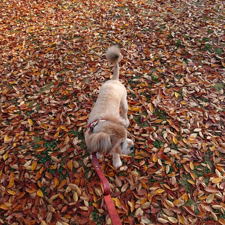 2f30869e 5d7b 459f 9607 7e5af4f0945d 1605662362411