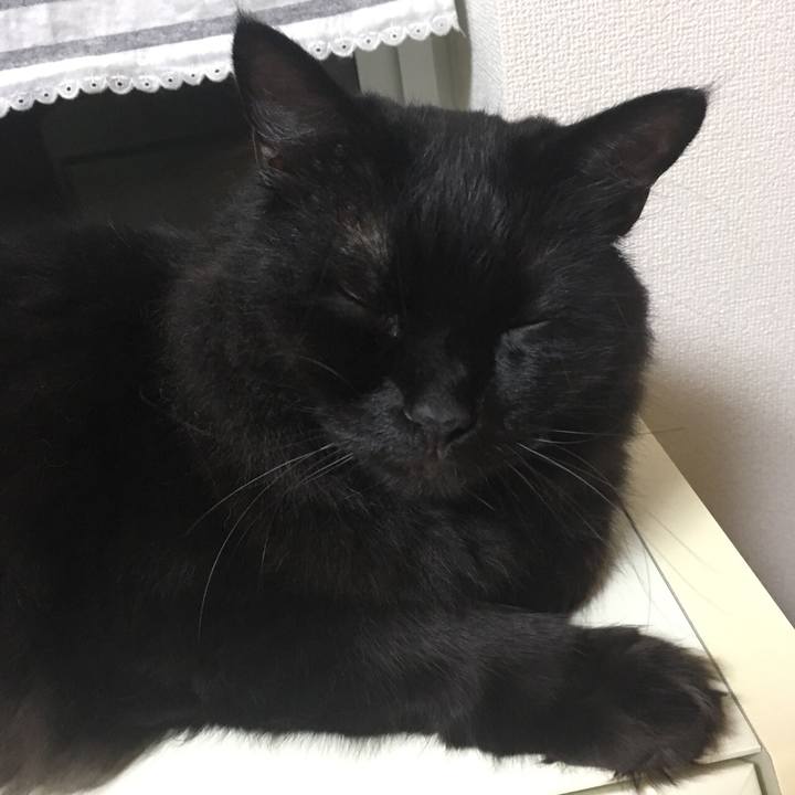 2f308b2a 77bf 404d 9e40 a6d1043392f5 1534179411059