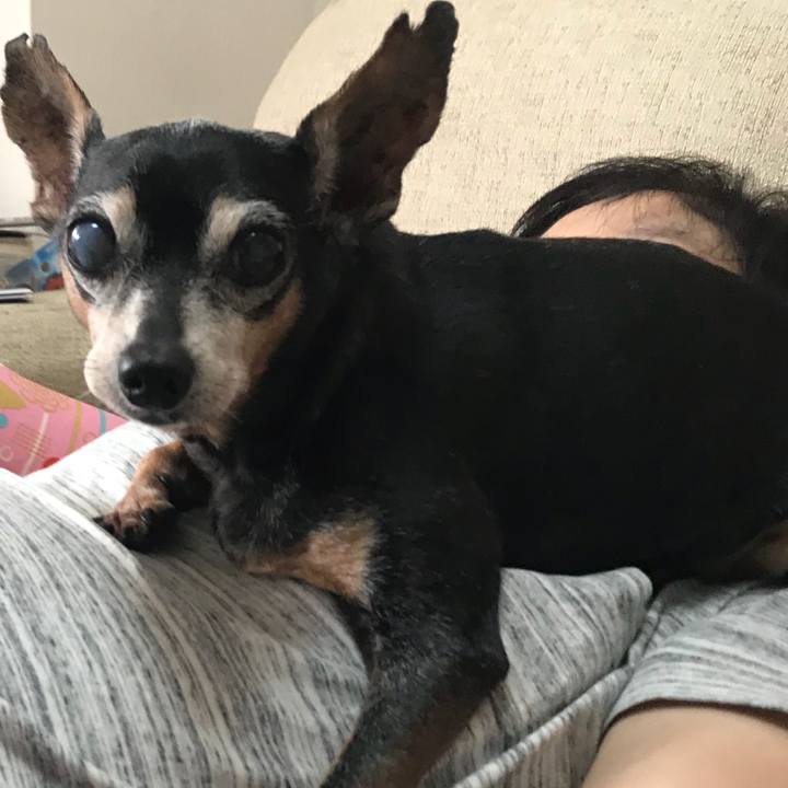 2f30caad 93a0 4570 ae14 ff949a268b89 1571050628198