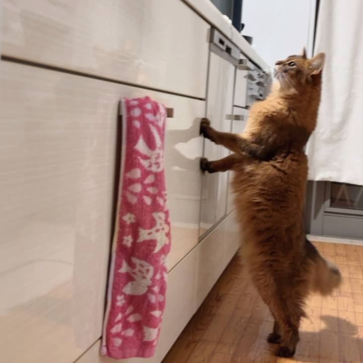 2f30e0f2 f42a 4f87 878c 01bb1a2fe35b 1765031103837