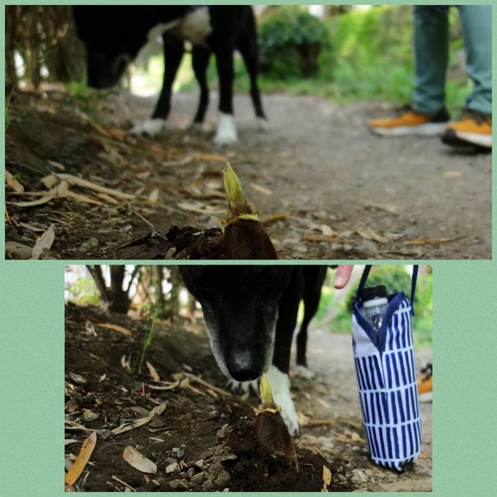 2f30f9ef 10e5 44fa 9ad8 f196418e3f2e 1745282940592