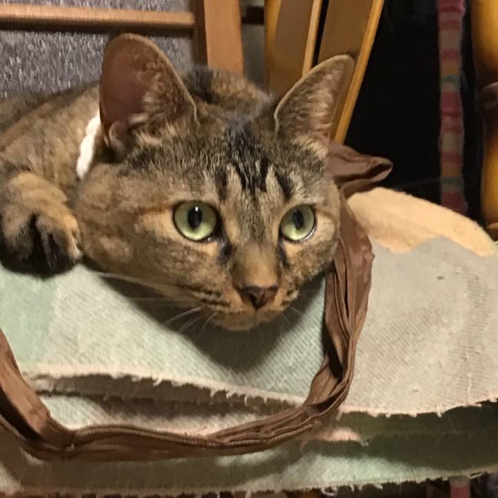 2f30fcaf 20fd 4fcf 821c 92a68ed4c161 1725884735849