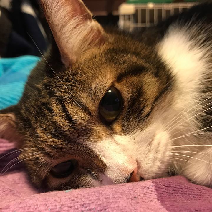 2f3113b0 45d2 4990 b001 0a6e8752a2bf 1510162785823