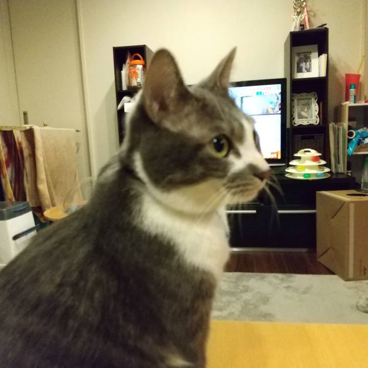 2f312869 19ad 4da9 927f 93eef048b86d 1612522268464