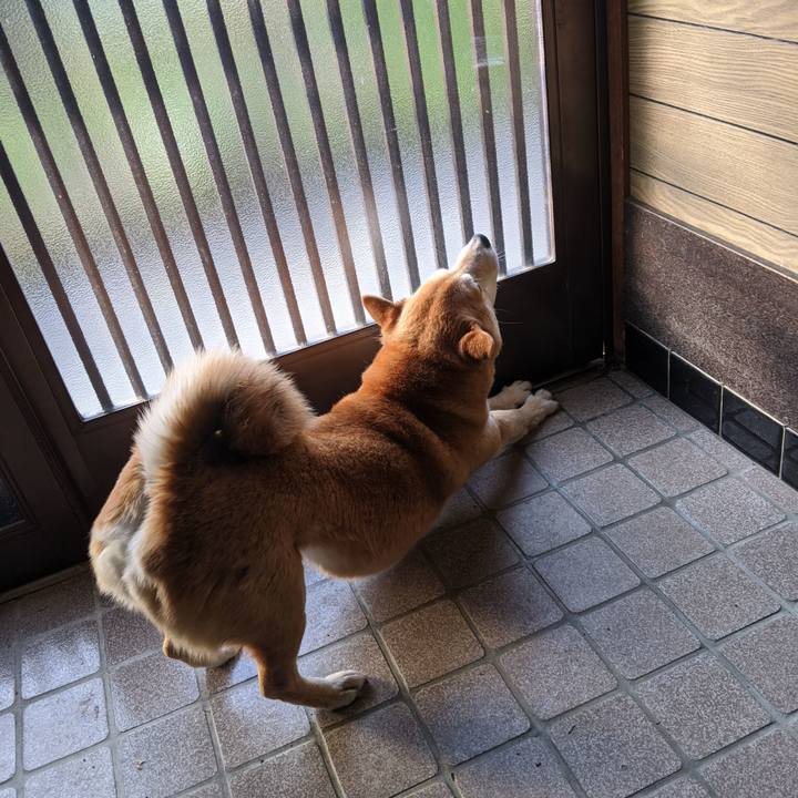 2f312a14 79a7 4249 ad22 333bea7d1759 1587437730600