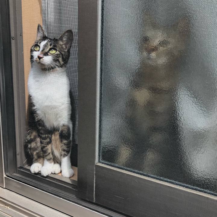 2f318463 1e73 4cb1 9f62 beaeb4014d4a 1523679339833