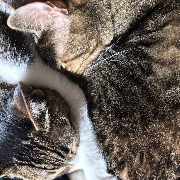 2f319240 d4a1 4dad bf44 6bd5b3754c4c 1514944231581