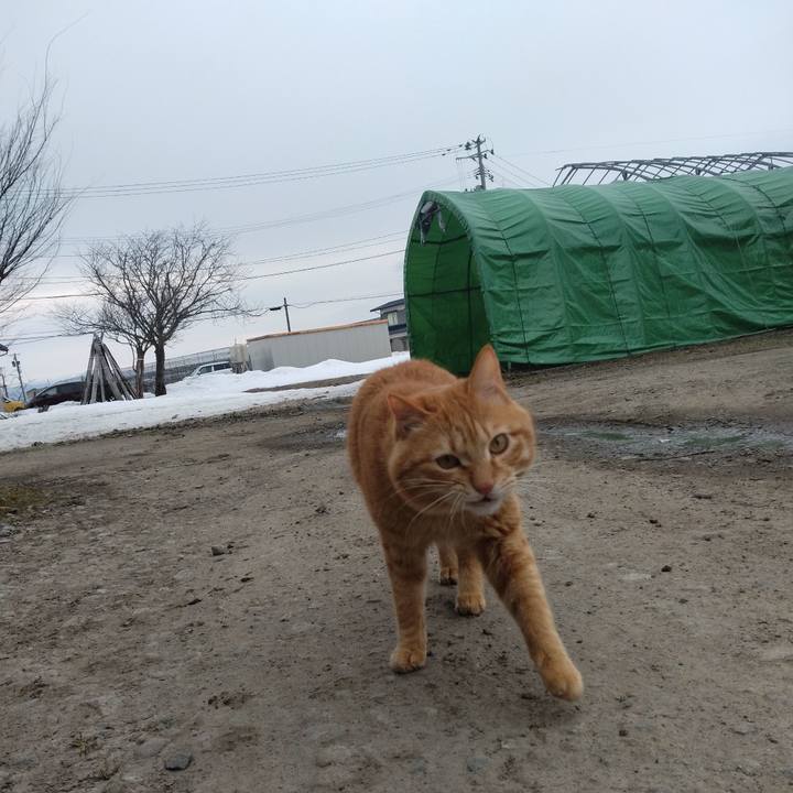 2f31e043 288e 4177 9abd 5e4dba63764c 1678059191122