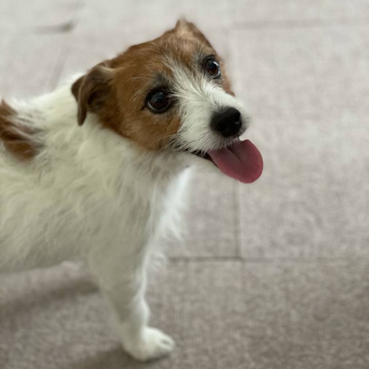 2f320053 2215 4565 a56d 19cd7647ee18 1620309979845