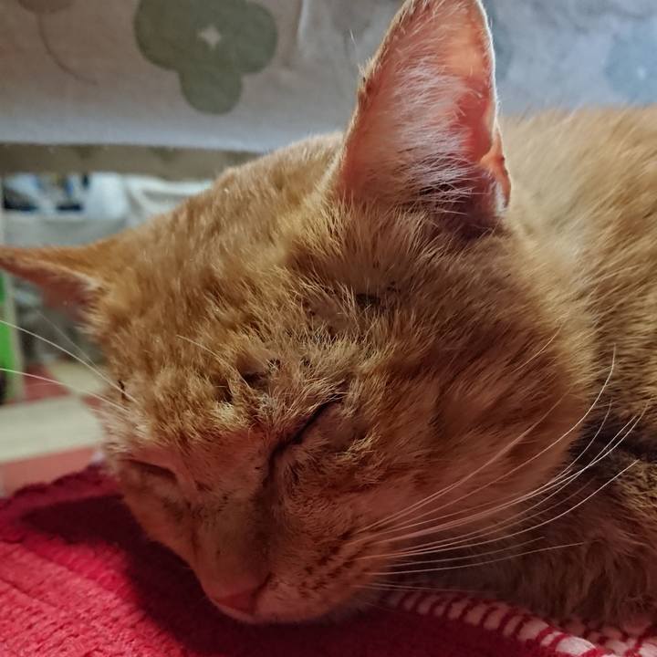 2f3209b4 09b3 4699 9bd2 2261a57e711e 1550966931646