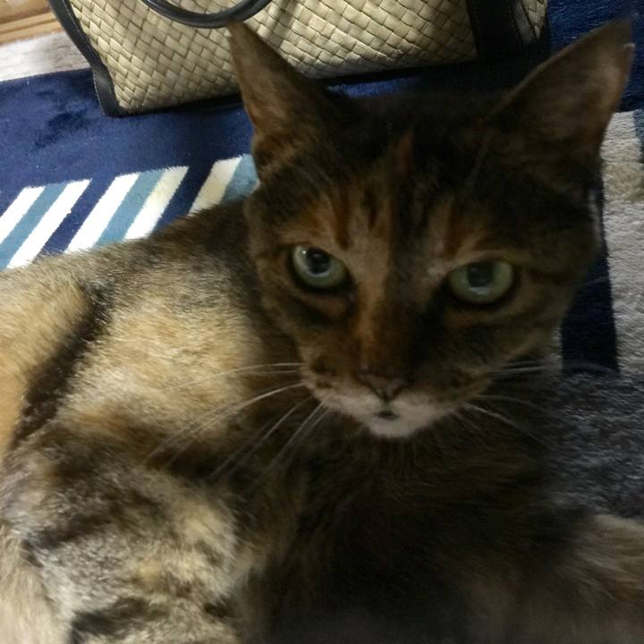 2f3228ad de21 4592 9ff2 69b1be2bdd8d 1533208119963