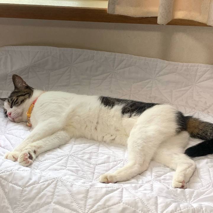 2f323f51 f606 4926 9622 17ab49ae77c0 1751432642193