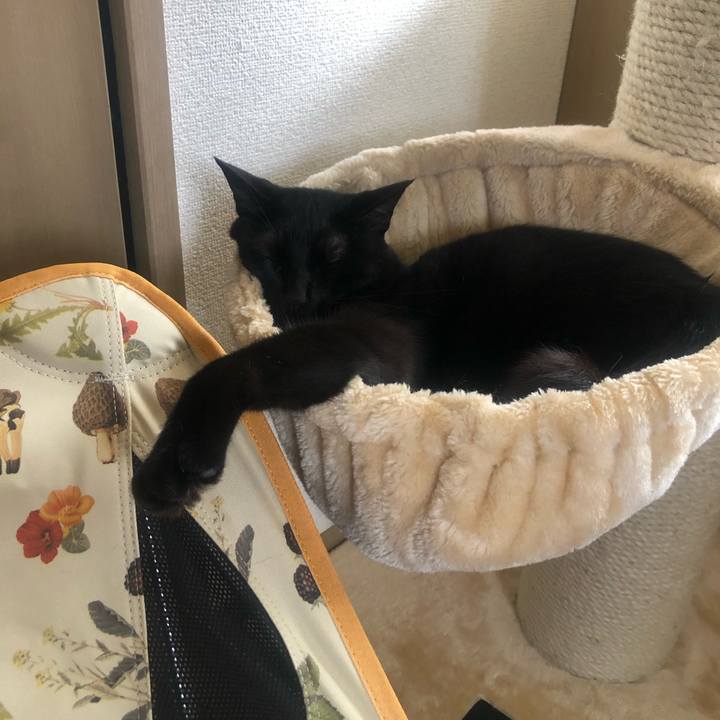 2f32463c 29ee 40ad 96ae b4058ff9136f 1621134804211