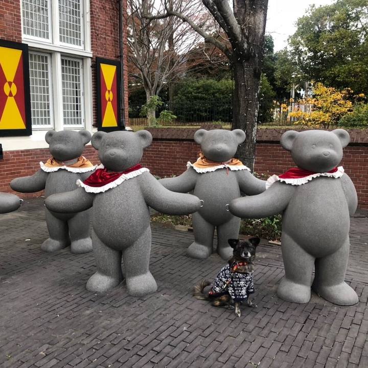 2f3265a4 d390 47a5 9a55 134d7dc53286 1544710034557