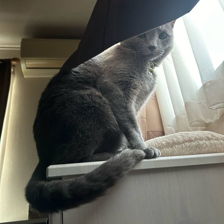 2f3339ea 368b 4252 af7b 102dbd4032f3 1712535152990