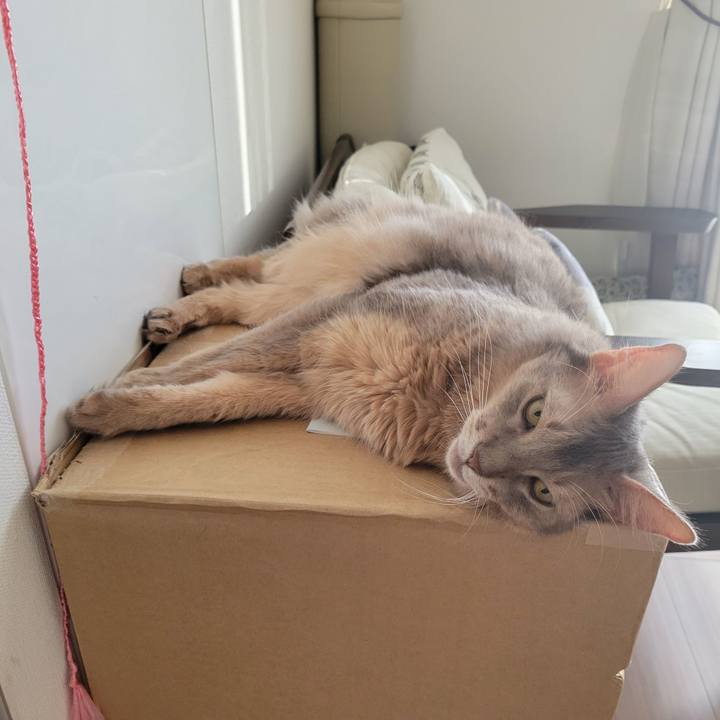 2f3344f9 88e6 450e ad23 7022bfae98d2 1632142941283