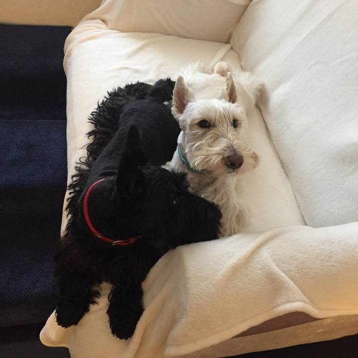 2f335409 8620 4f71 ba51 12689d93f830 1512255832883