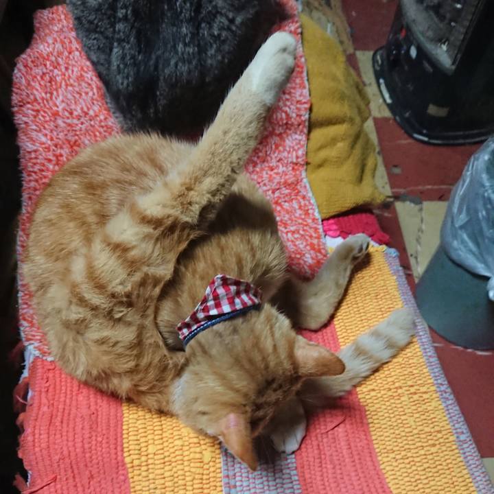 2f336747 937f 40b0 a3da 8e0c35bb9913 1558437584220