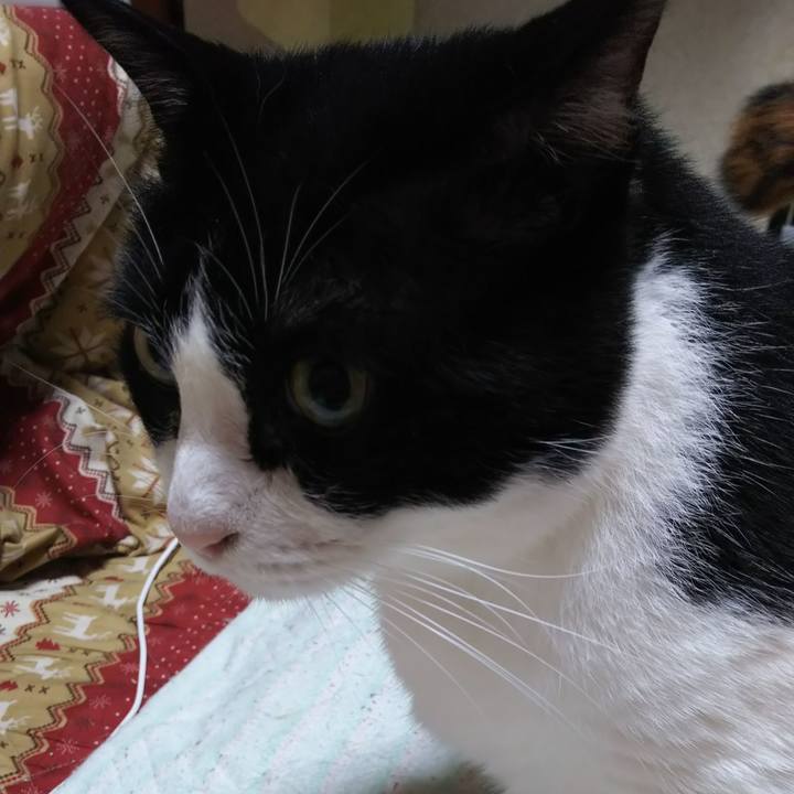 2f33eeb4 4789 4225 96bc 2dcf56500fcb 1560804894099