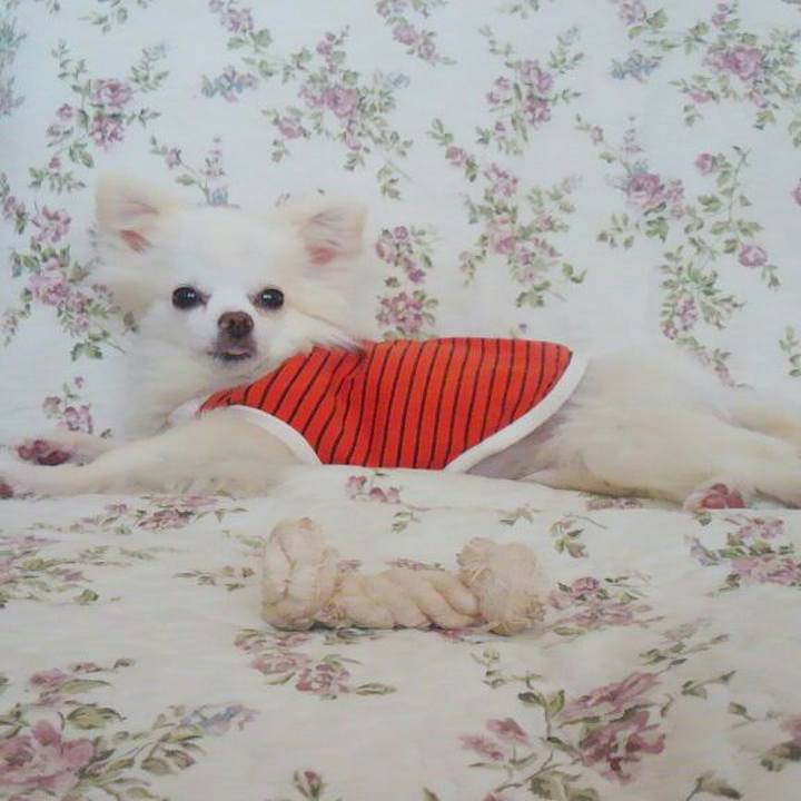 2f33fd18 31e1 46e7 89d0 523acc0790ed 1525565009504