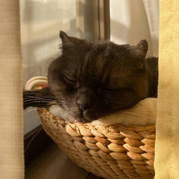 2f343360 5f17 4adf be64 5ba367a007e4 1613638339276