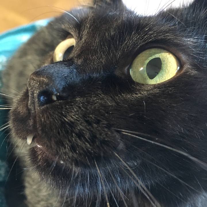 2f344cfa 9a6f 4c98 86b7 2014a537747e 1535788467296